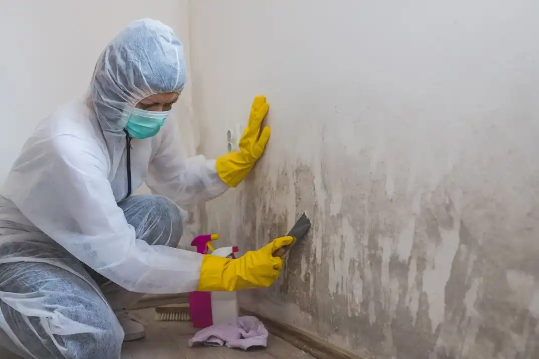water damage restoration service Trails of Prosper